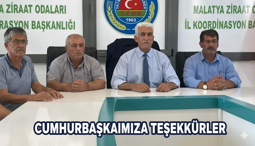 Ziyaret